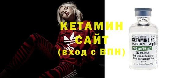 крисы Алексин