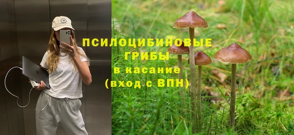 apvp Алексеевка