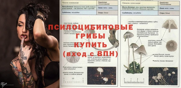 apvp Алексеевка