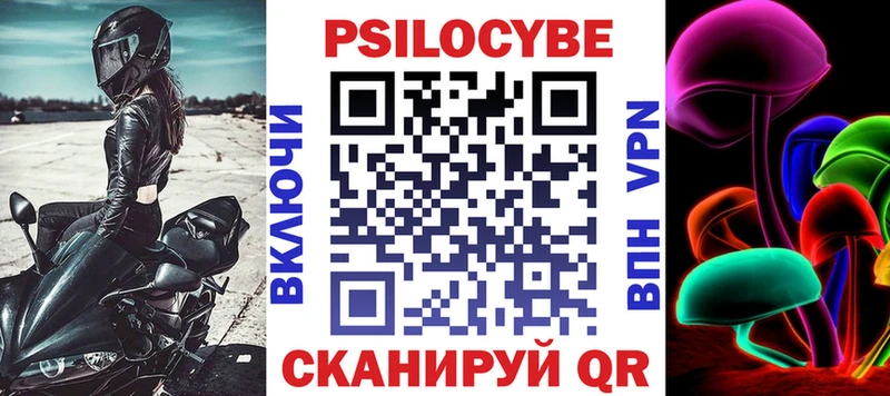 где можно купить наркотик  Шумиха  Псилоцибиновые грибы Psilocybine cubensis 